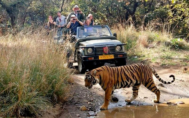 what to pack for your ranthambore adventure