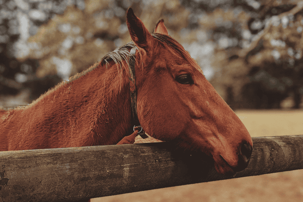 the role of play areas in encouraging social skills in children