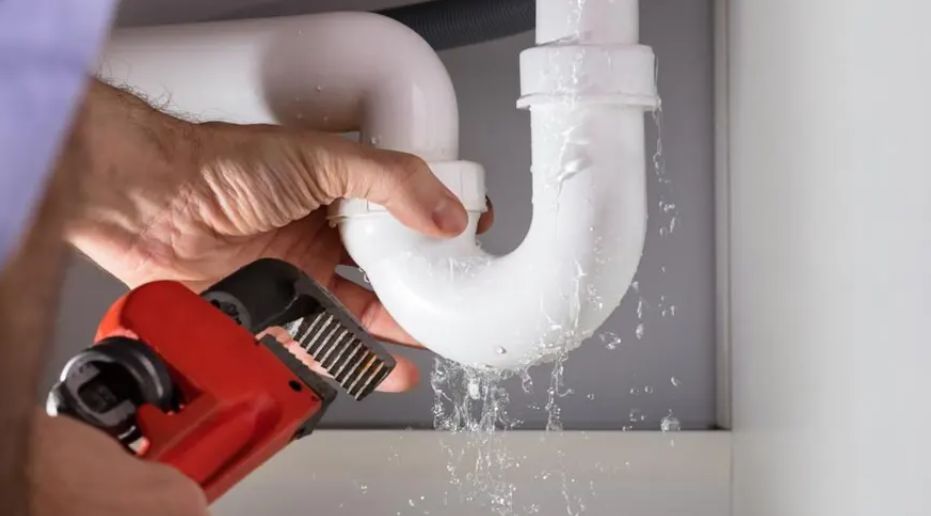 how a professional plumber can help prevent future leaks